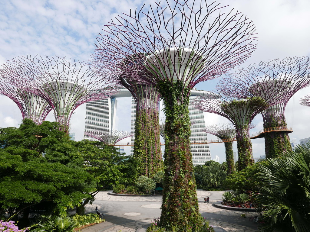 48.Supertrees Singapore