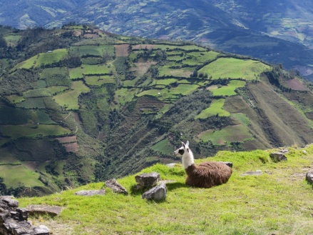 Perú 2016.JPG
